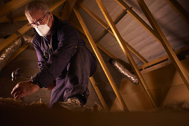 Best Professional Insulation Contractor  in Algoma, WI